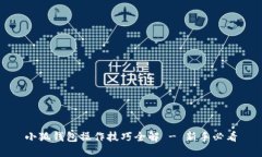 小狐钱包操作技巧全解 