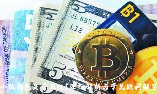  
小狐钱包是否正规？深入解析与常见疑问解答