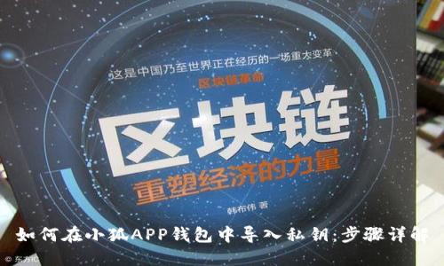 如何在小狐APP钱包中导入私钥：步骤详解