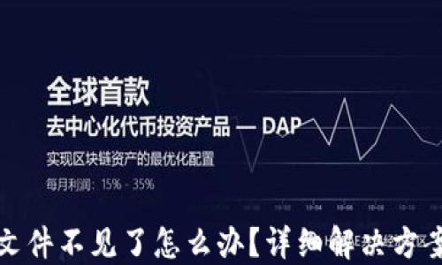 
以太坊钱包文件不见了怎么办？详细解决方案与预防措施