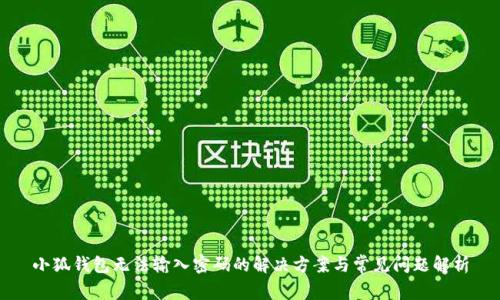小狐钱包无法输入密码的解决方案与常见问题解析