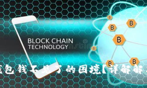 如何应对比特币钱包钱不见了的困境？详解解决方案与防范措施