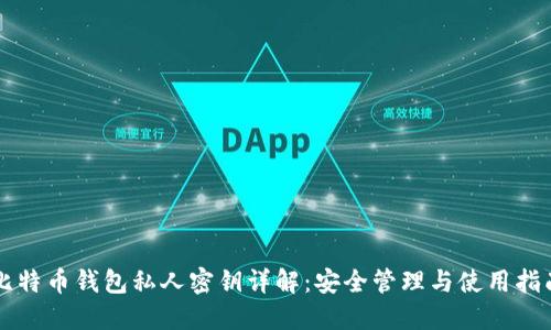 比特币钱包私人密钥详解：安全管理与使用指南