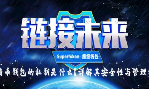 比特币钱包的私钥是什么？详解其安全性与管理方法