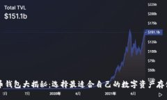 虚拟币钱包大揭秘：选择