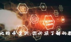 软件钱包丢失比特币案例