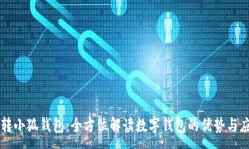 :
玩转小狐钱包：全方位解读数字钱包的优势与应用