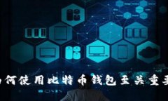为何使用比特币钱包至关