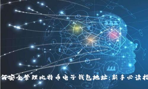 如何安全管理比特币电子钱包地址：新手必读指南