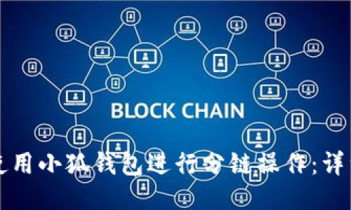 如何使用小狐钱包进行分链操作：详细指南