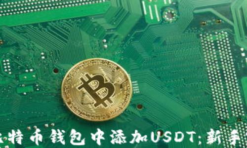 
如何在比特币钱包中添加USDT：新手完全指南
