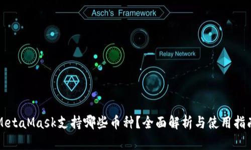 MetaMask支持哪些币种？全面解析与使用指南