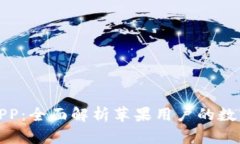 小狐钱包APP：全面解析苹
