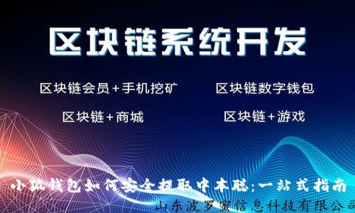 小狐钱包如何安全提取中本聪：一站式指南