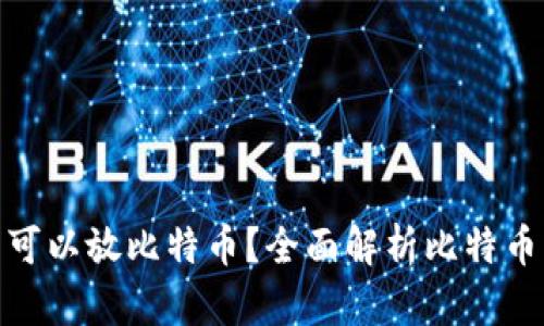 哪些钱包可以放比特币？全面解析比特币钱包选择