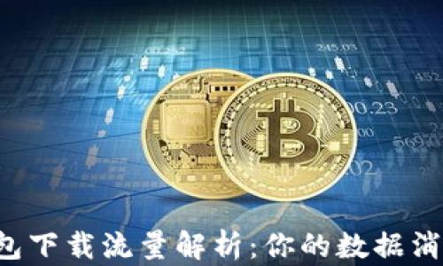 
以太坊钱包下载流量解析：你的数据消耗有多大？