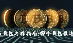 比特币钱包选择指南：哪