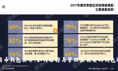 比特币钱包文件：如何选择与管理最优质的钱包选项