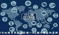   为何每个比特币钱包都是