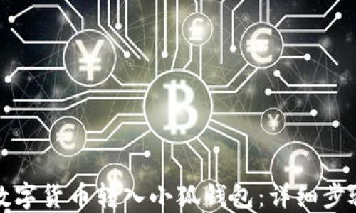 
如何将数字货币转入小狐钱包：详细步骤与技巧