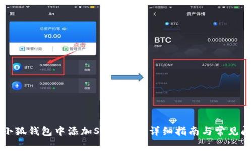 如何在小狐钱包中添加SQL网络？详细指南与常见问题解答