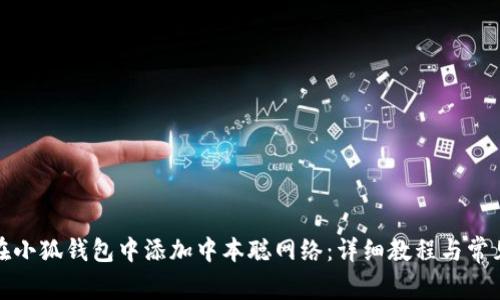 如何在小狐钱包中添加中本聪网络：详细教程与常见问题