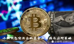 小狐钱包突然出现美金的原因及应对策略
