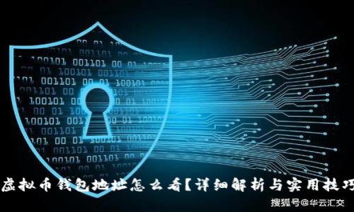 虚拟币钱包地址怎么看？详细解析与实用技巧