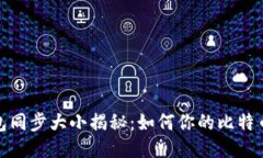 比特币钱包同步大小揭秘