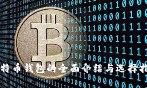 比特币钱包的全面介绍与选择指南