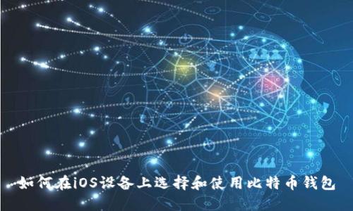 如何在iOS设备上选择和使用比特币钱包