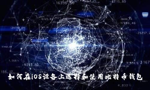 如何在iOS设备上选择和使用比特币钱包