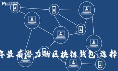 探讨2023年最有潜力的区块链钱包：选择与投资指南