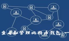 如何安全地查看和管理比特币钱包：一份全面指
