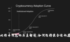 平台与比特币钱包的关系解析：如何选择最合适