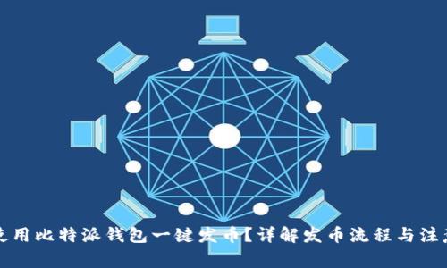 如何使用比特派钱包一键发币？详解发币流程与注意事项