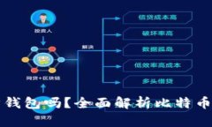 转比特币需要同步钱包吗？全面解析比特币钱包