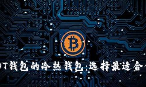 全面解析USDT钱包的冷热钱包：选择最适合你的存储方式