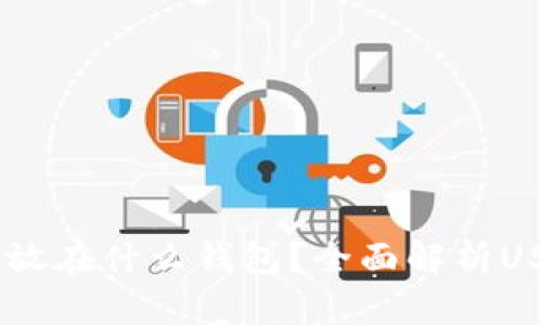 USDT可以存放在什么钱包？全面解析USDT钱包选择