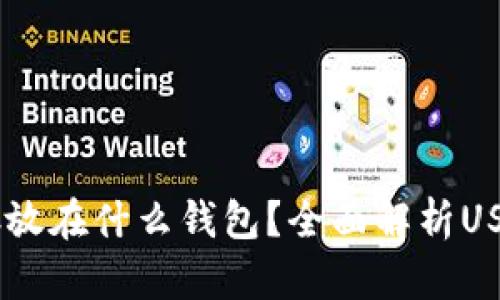 USDT可以存放在什么钱包？全面解析USDT钱包选择