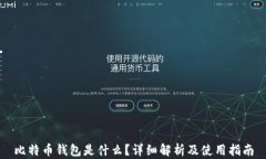 比特币钱包是什么？详细解析及使用指南