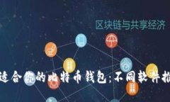 如何选择适合你的比特币钱包：不同软件推荐与