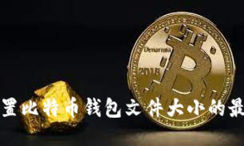 如何设置比特币钱包文件大小的最佳方法