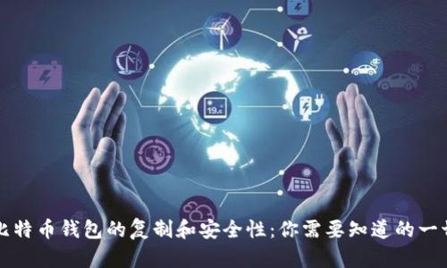 比特币钱包的复制和安全性：你需要知道的一切