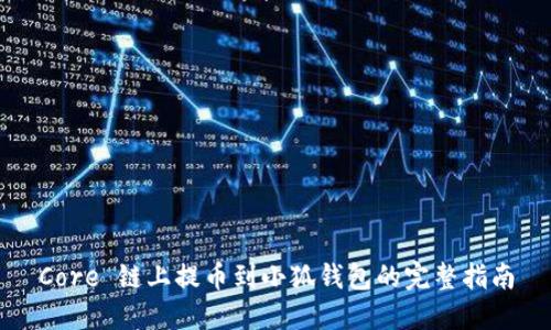 Core 链上提币到小狐钱包的完整指南