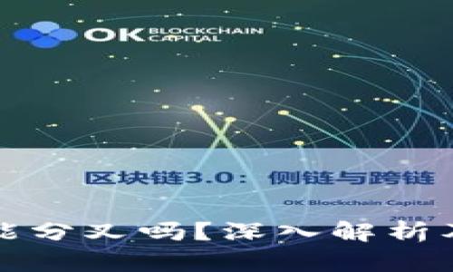 小狐钱包能分叉吗？深入解析及使用指南