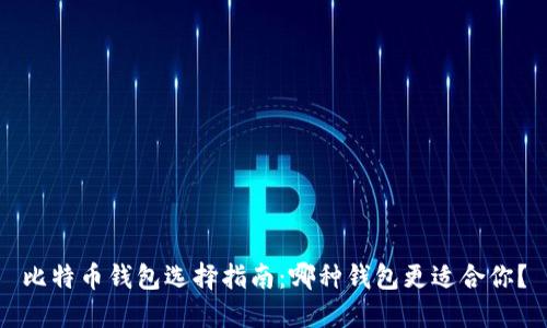 比特币钱包选择指南：哪种钱包更适合你？