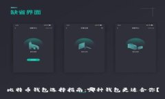 比特币钱包选择指南：哪