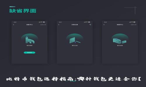 比特币钱包选择指南：哪种钱包更适合你？