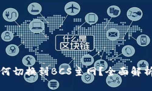 小狐钱包如何切换到BCS主网？全面解析与操作指南